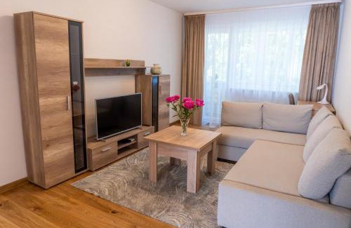 Siauliai City Center Apartment | Saulės laikrodžio apartamentai