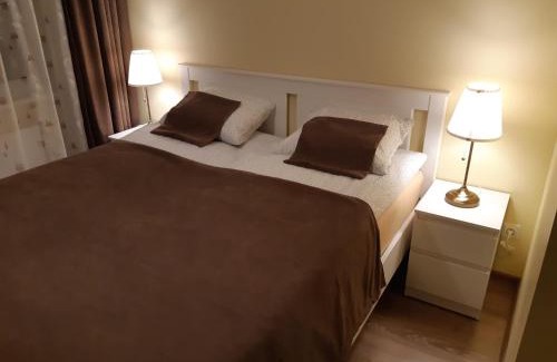 Panevezys Apartment | Sauliaus apartamentai VIP