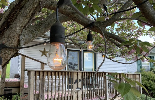 Harveys Lake House | Scenic cabin w/ lakeview & swim