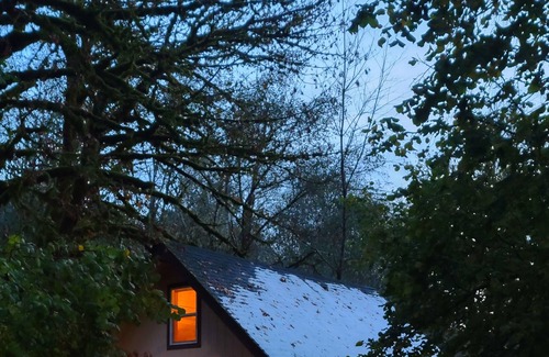 Alsea Cabin | Scenic cabin with a creek view