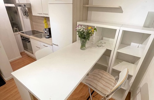 Wuerzburg Apartment | Schönes Appartment in Laufweite zum Zentrum & Mainufer