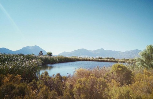 Tulbagh Apartment | Schalkenbosch Wine Estate - Heritage Cottages