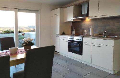 Mainz-Bingen Apartment | Schau-Rhein#2 - on Top of Bacharach, Rhineview