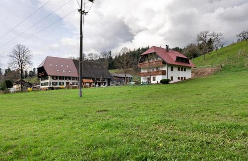 Ibental Apartment | Schlegelhansenhof