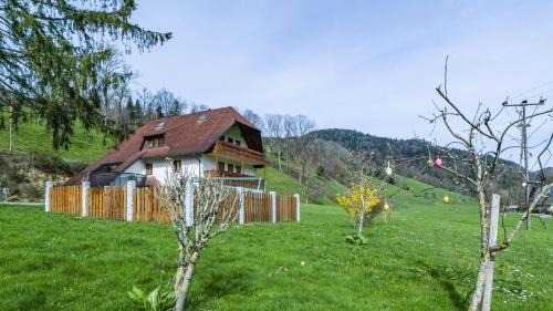 Ibental Apartment | Schlegelhansenhof