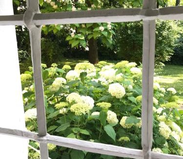 Laakirchen Apartment | Schloss mit eigenem Garten und Parkplatz