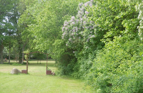 Gielow House | Schmiede der Wasserburg Liepen