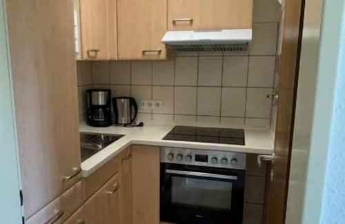 Schonach im Schwarzwald Apartment | Schwarzwaldblick by Interhome