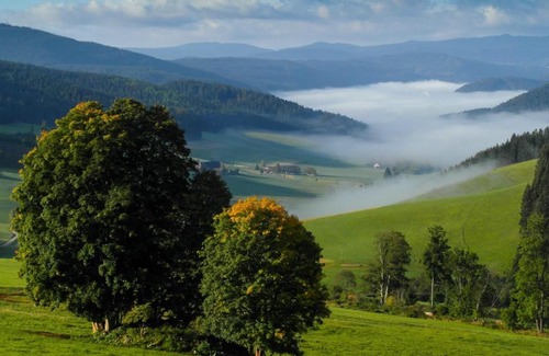 Schwarzenbach Hotel | Schwarzwaldgasthaus Salenhof