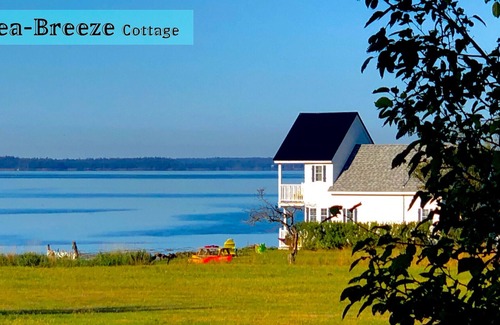 Eastport House | Sea-Breeze Cottage perched on the edge of the bay.