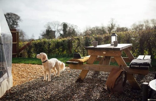 Lawrenny Cabin | Sea Campion - Luxury Dome with private hot tub, 15 mins from beaches