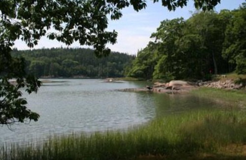 Deer Isle House | Sea Green Cottage - Delightful tidal oceanfront camp