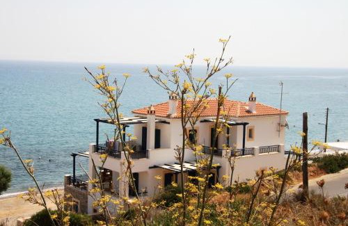 Agia Pelagia Apartment | Sea Urchin Apartment Neos Kosmos