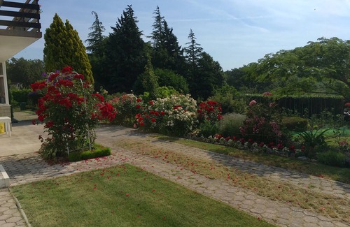 Rogocana Apartment | Sea view house with beautiful garden in a quiet area
