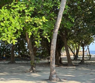 Meedhoo House | Sea View