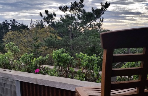 Manchester House | SEAGLASS - Secluded Irish Beach, Mendocino area oceanview home w treehouse feel