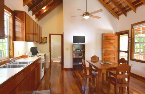 Caye Caulker House | Seahorse Cabana Pool AC Dock Access Paddleboards-Sleeps 4