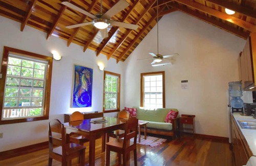 Caye Caulker House | Seahorse Cabana Pool AC Dock Access Paddleboards-Sleeps 4