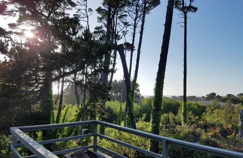 Seal Rock Cottage | Seal Rock Perch Getaway