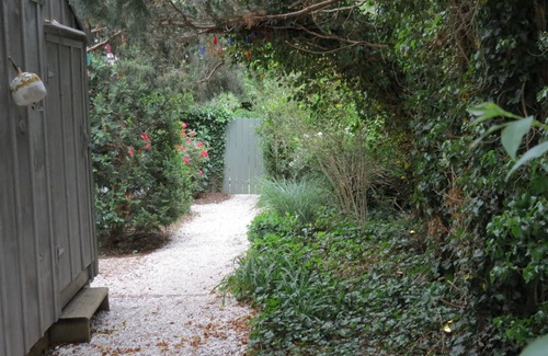 Campground Landing House | Seaside Garden: 2 min walk to the Bay, peaceful, private, bird haven.
