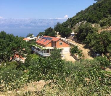 Gdinj Apartment | Seaside secluded apartments Cove Pobij, Hvar - 8702