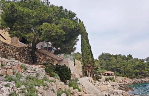 Gdinj Apartment | Seaside secluded apartments Cove Lucica, Hvar - 15546