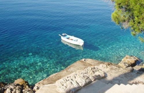 Gdinj Apartment | Seaside secluded apartments Cove Lucica, Hvar - 15546
