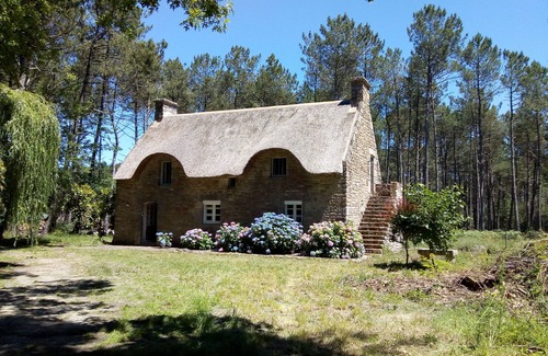 Theix-Noyalo Cottage | Seasonal rental of a Breton cottage in the heart of the forest