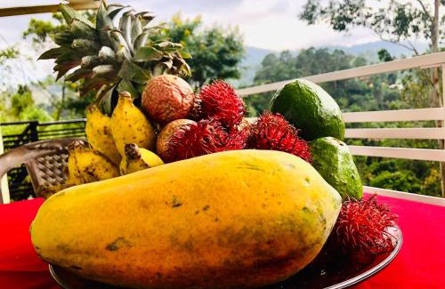 Bandarawela House | Seasons Homestay