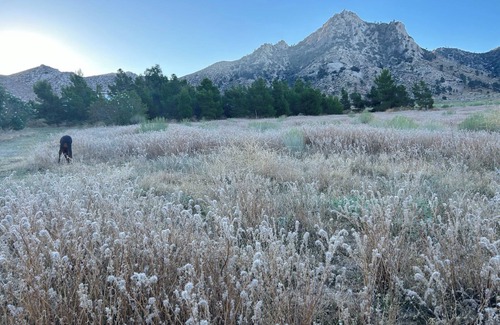 Sequoia National Forest House | Secluded 20-Acre Ranch Getaway with Breathtaking Sierra Foothill Views