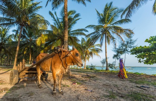 Unguja Ukuu House | Secluded Beach House