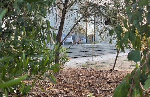 Wonthaggi Cabin | Secluded cabin close to beautiful beaches and the town of Wonthaggi