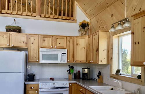 Zapata Cabin | Secluded Cabin Minutes From The Great Sand Dunes