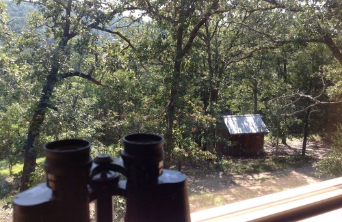 Omaha Cabin | Secluded Cabin - Near Branson. Relax-Quiet-Hike-Explore-Woods-Lake-Mountains 4WD