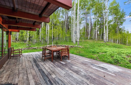 Placerville Cabin | Secluded Cabin on 11 Acres w/Mountain Views! 25 Min to Telluride!