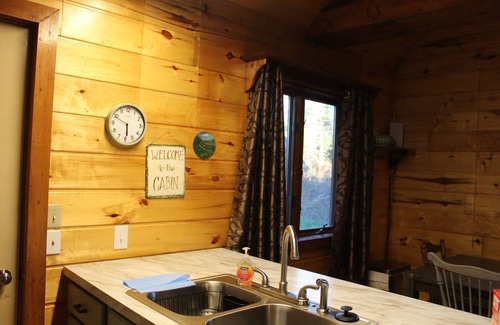 Harrison Cabin | Secluded Cabin on the Muskegon River, 40 Acres of Private Land, ORV Trail Access