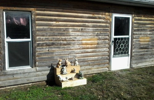 Carbon Hill Cabin | Secluded Cabin near hocking hills with hunting possibilities