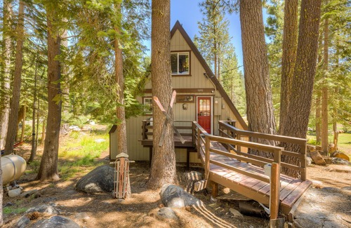 Pla-Vada Woodlands Cabin | Secluded cabin with deck, WiFi, loft, W/D & gas fireplace - quiet location