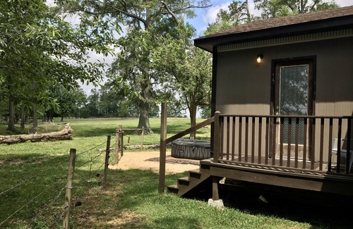Vienna Cottage | Secluded Cottage on Cattle Farm and Dog Friendly All Sizes