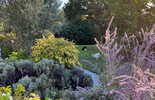 Sauverny House | Secluded countryside retreat near Geneva, ideal short-term getaway.