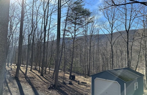Berkeley Springs Cabin | Secluded cozy cabin with modern amenities/hot tub/pet friendly/wifi