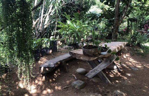 Pivijay Cabin | Secluded Forest mountain cabana with magnificent view