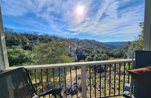 Vallecito Apartment | Secluded Hilltop Tower Private Pond EV Charger Firepit Sauna Cold Plunge Dogs ok