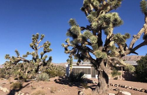 Meadview House | Secluded home in the Joshua Tree Forest close to the Grand Canyon West Skywalk