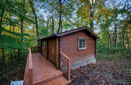 Northwest Township Cottage | Secluded in the woods of a 40 acre property