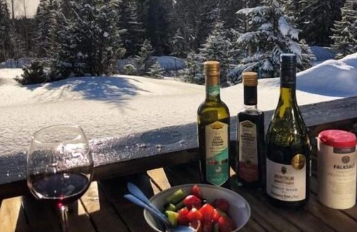 Undersaker Ski Chalet | Secluded lodge overlooking the sea and mountain