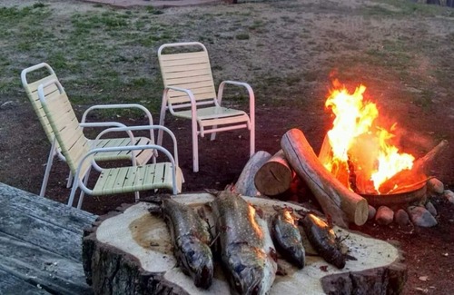 Lake Cabin | Secluded Log Cabin On Our Private Lake!