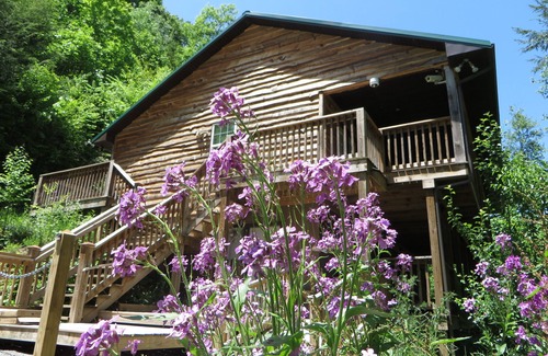 Tyler Cabin | Secluded Mountain Cabin on a Large Estate with Water Fall, Hiking Trails & Creek