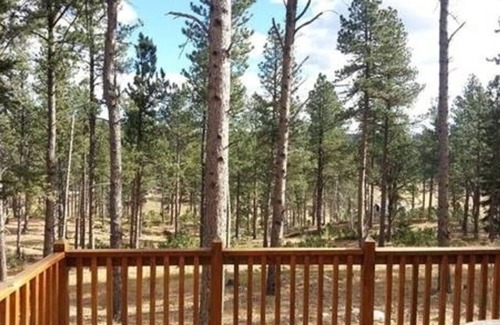 Nemo Cabin | Secluded Pines Cabin in the Black Hills - Relaxing Getaway