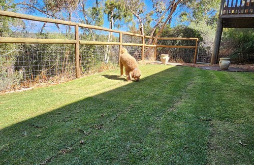 Bridgetown House | Secluded rustic cottage charm, opposite river walk, close to town. Pet friendly!